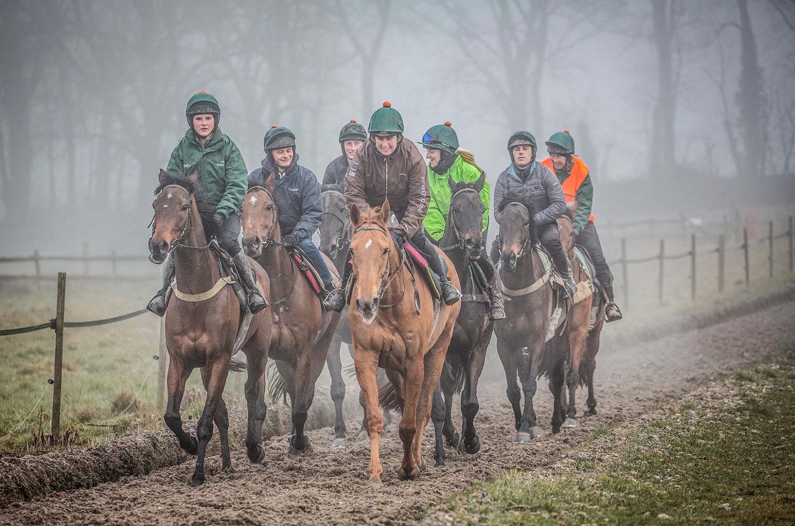 Group of racehorses on gallops. Nigel Twiston Davies. Racehorse trainer. Canter Carpet environmental technology.